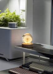 DANDELION - Handmade Lamp