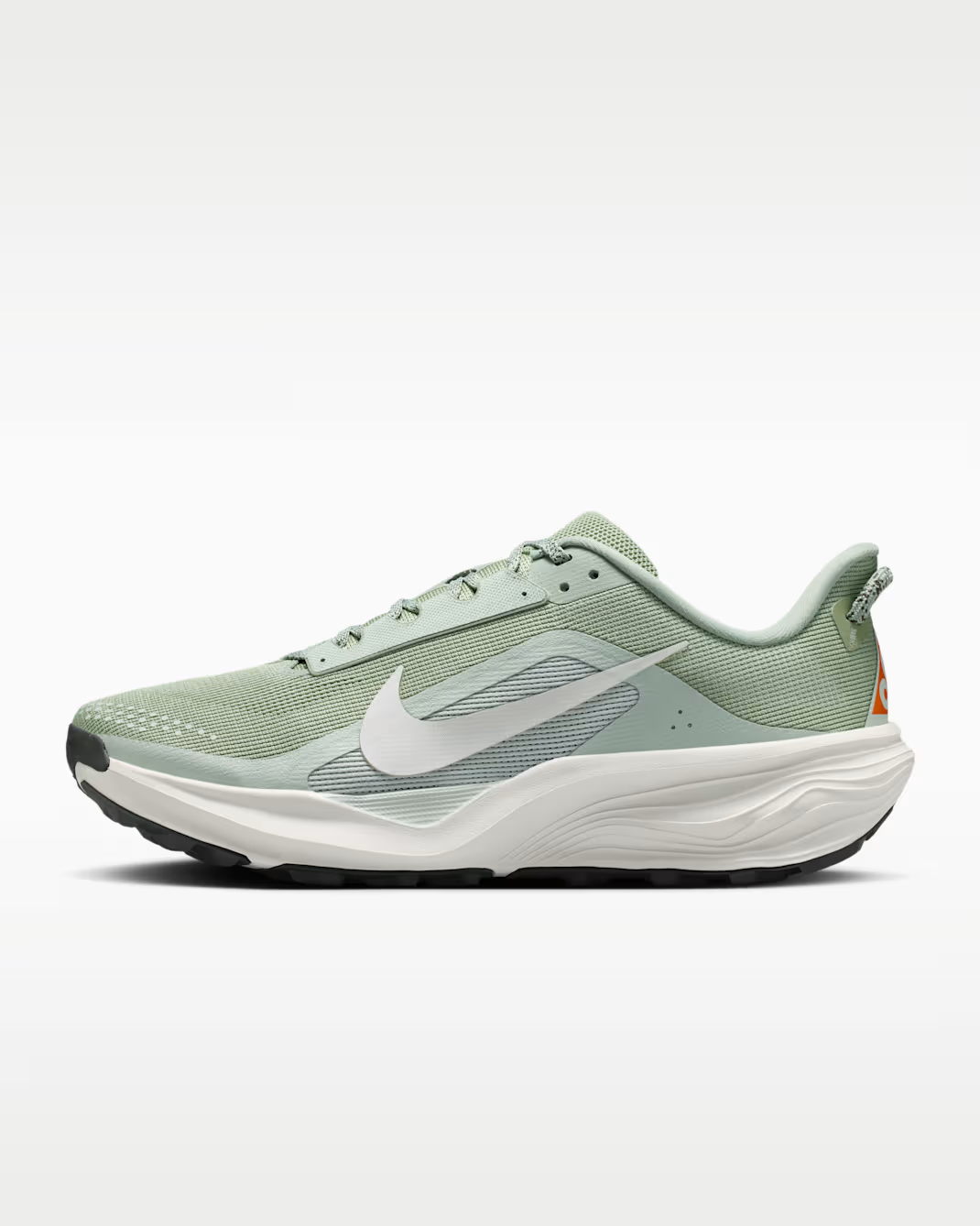 Nike ACG Pegasus Trail Men's Trail Running Shoes