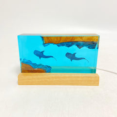 Whale Shark Cube Resin Lamp, Diver Art Craft, ocean art